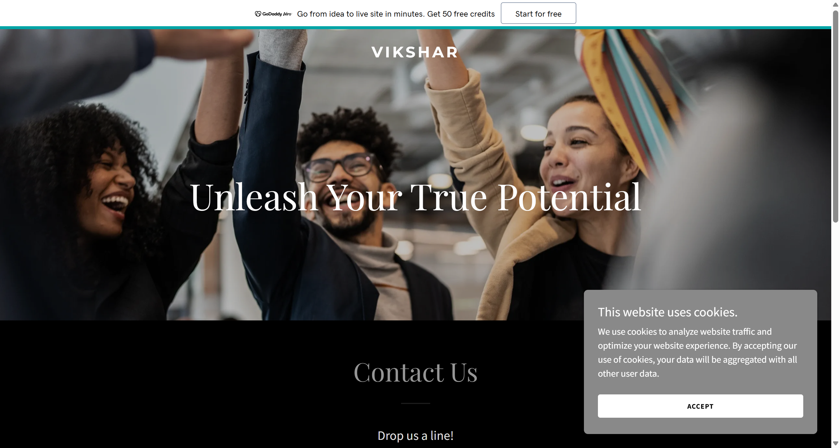 Vikshar - Site profissional